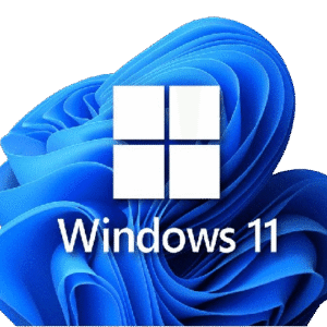 ARMADO E INSTALACION DE WIN 11 + BASICOS ( no inc licencia )